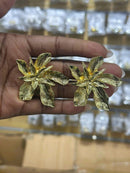 Brincos Inoxidáveis